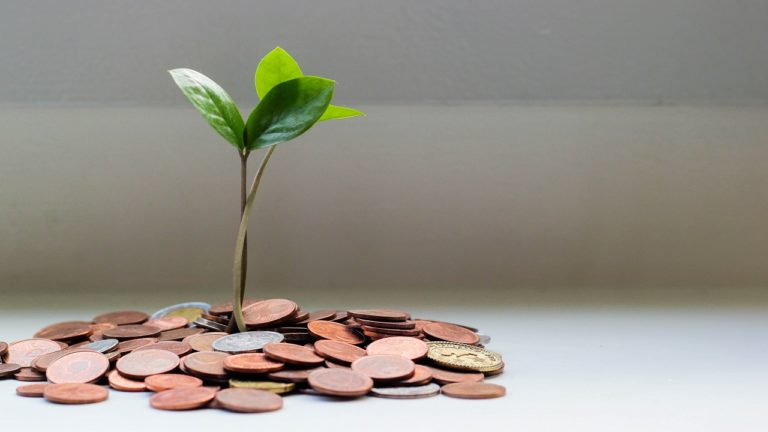 eine pflanze wächst aus geld